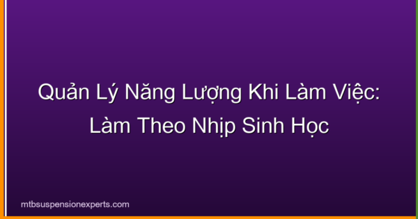 Quản Lý Năng Lượng Khi Làm Việc: Làm Theo Nhịp Sinh Học